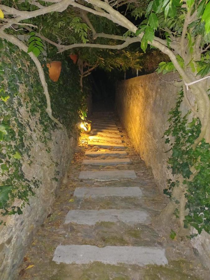 Casa Vila Palmeira 호텔 Fermela 외부 사진